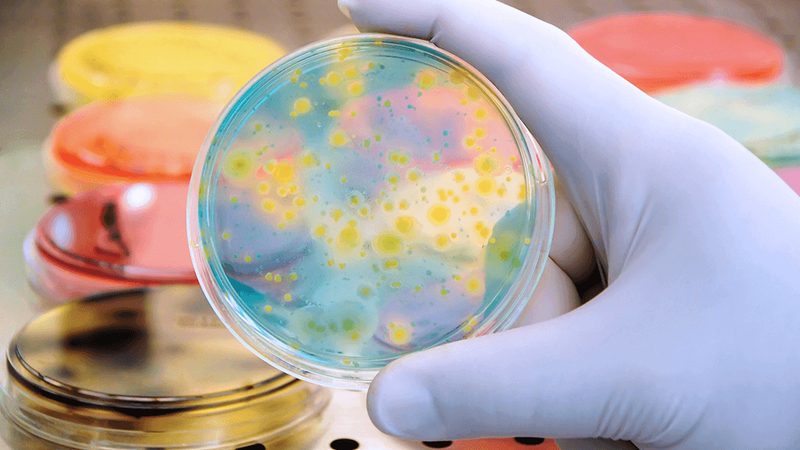 生物医药外包设备采购：流程揭秘与关键要素**