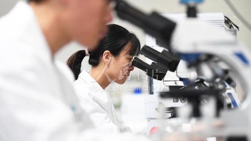 生物医药外包工艺流程规范标准的解析与实施
