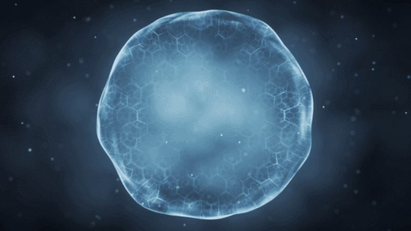 CDMO项目质量评估：从工艺验证到数据完整性的全链条逻辑