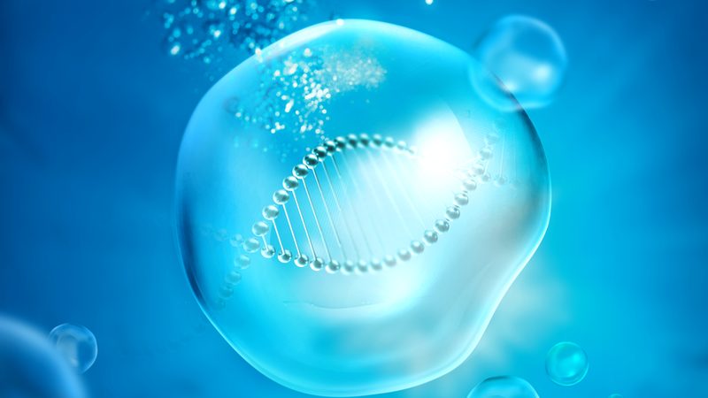 微量离心管规格解析：选择与实验需求相匹配的利器