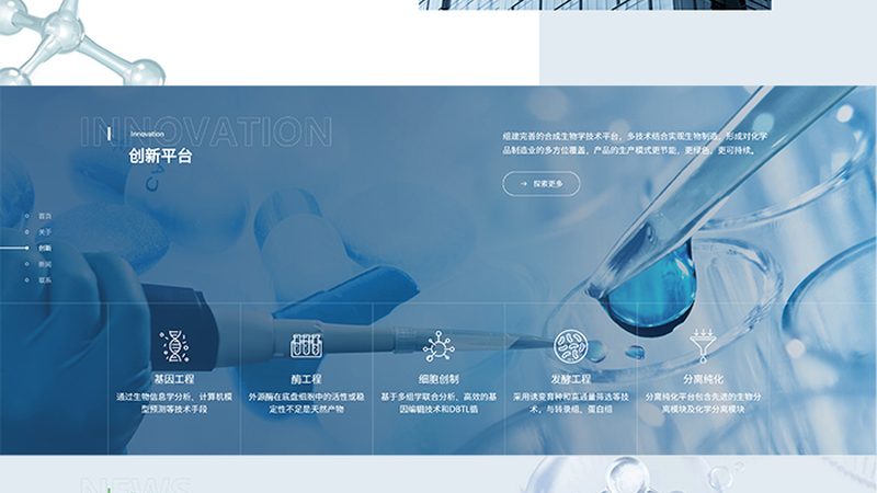 生物医药外包工艺流程定制服务：揭秘背后的关键要素
