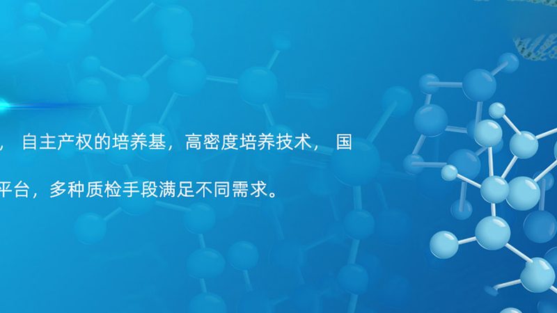 生物制品注册申报规范要求：合规之路的细节解析