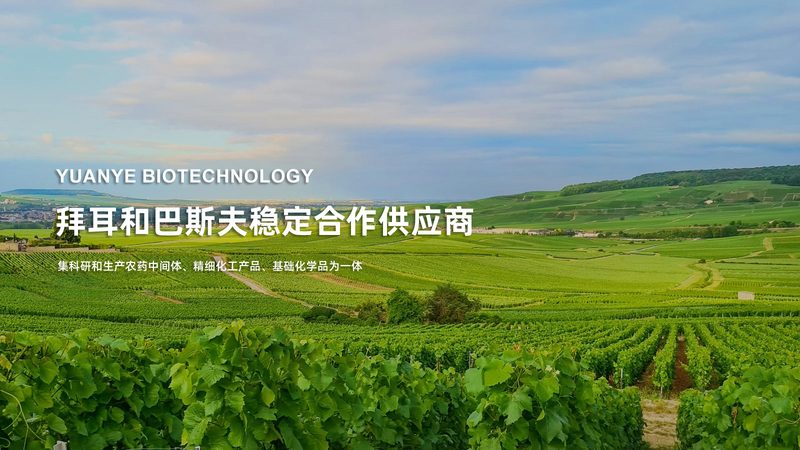三代基因测序技术：原理、优缺点解析**