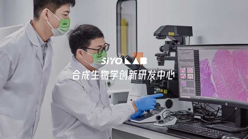 CDMO质量标准文件模板：构建合规与高效的研发基石