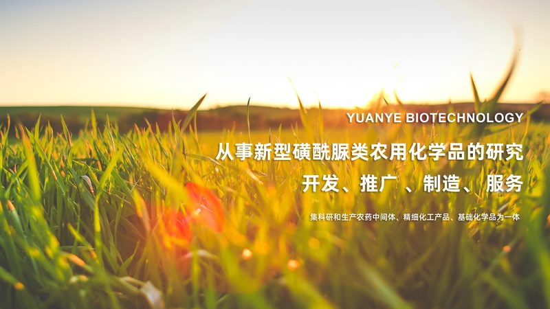 电商网站CRO优化效果评估：关键指标与实操解析