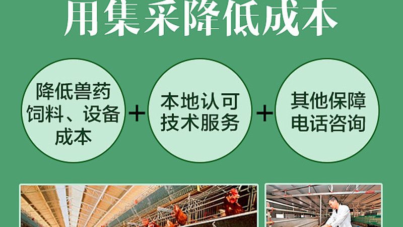 工业酶制剂：分类与型号解析**