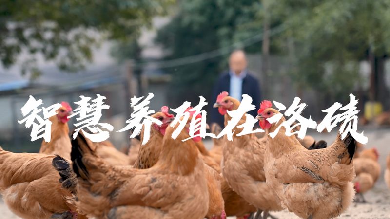 移液器代理加盟，启动资金如何规划？**