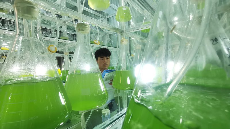 基因检测，如何选择正规机构？**